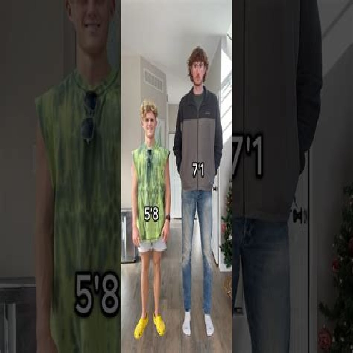HTML
